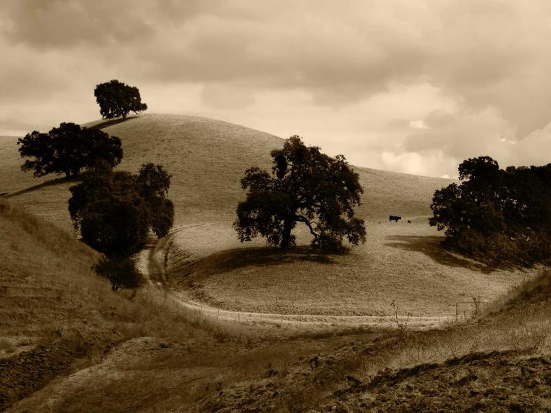 sudoku kenken screenshot 4